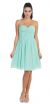 Strapless Pleated Knot Bust Short  Bridesmaid Party Dress in Mint